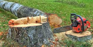 Best Stump Grinding and Removal  in Edgeworth, PA